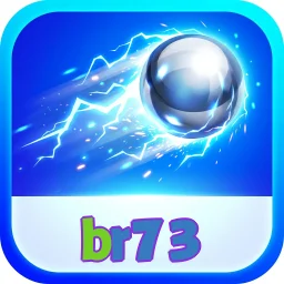 br73