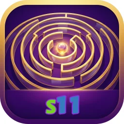 s11